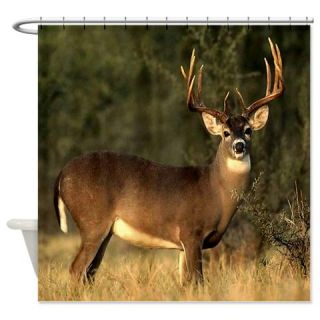  Big Buck Deer Shower Curtain  Use code FREECART at Checkout