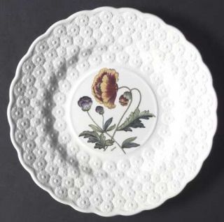 Spode Fernleigh Luncheon Plate, Fine China Dinnerware   Daisy Embossed, Flower S