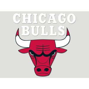Chicago Bulls Wincraft Die Cut Color Decal 8in X 8in