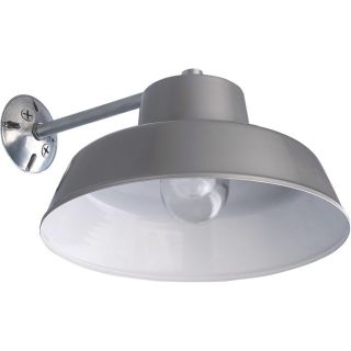 Canarm Ceiling/Wall Barn Light with Glass Bulb Shield   14 Inch Diameter, 120