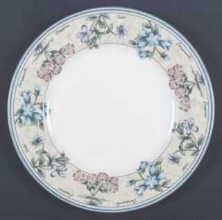 Mikasa Parisian Garden Dinner Plate, Fine China Dinnerware   Blue Bands,Beige Ri