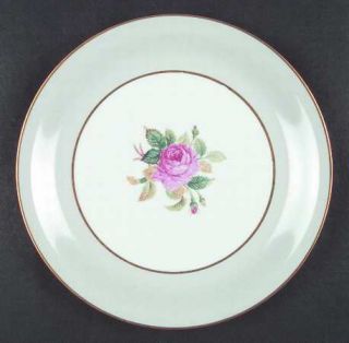 Noritake 5344 Dinner Plate, Fine China Dinnerware   Gray Border,Pink Flower Cent