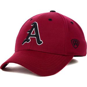 Arkansas Razorbacks Top of the World NCAA Memory Fit Dynasty Fitted Hat