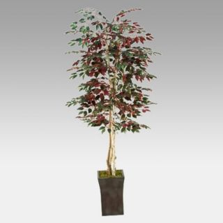 D and W Silks 7 Foot Red Ficus Tree in Square Metal Planter   39226
