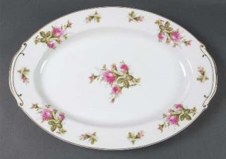 Floral Park Flp1 16 Oval Serving Platter, Fine China Dinnerware   Pink Roses Ce