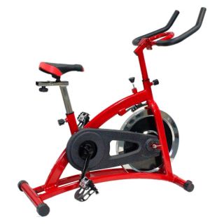 Body Champ Indoor Cycle Trainer Multicolor   ERG2060